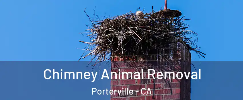 Chimney Animal Removal Porterville - CA