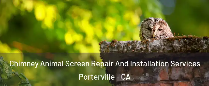  Chimney Animal Screen Repair And Installation Services Porterville - CA