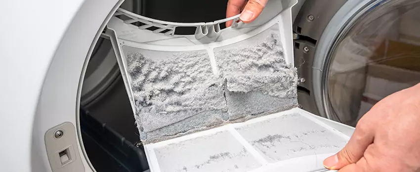 Best Dryer Lint Removal Company in Porterville, California