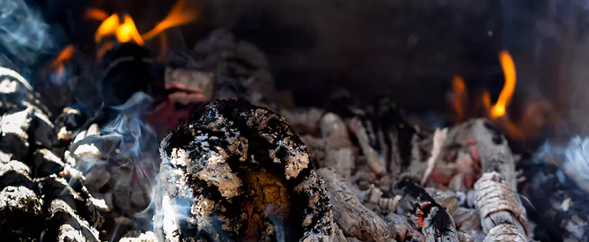 Creosote Removal Experts in Porterville, CA