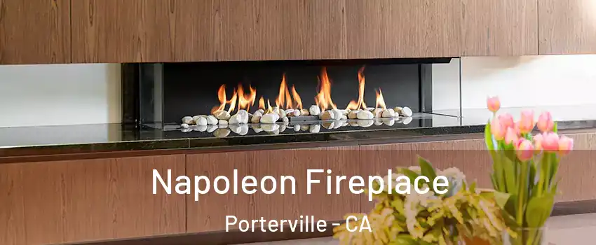  Napoleon Fireplace Porterville - CA